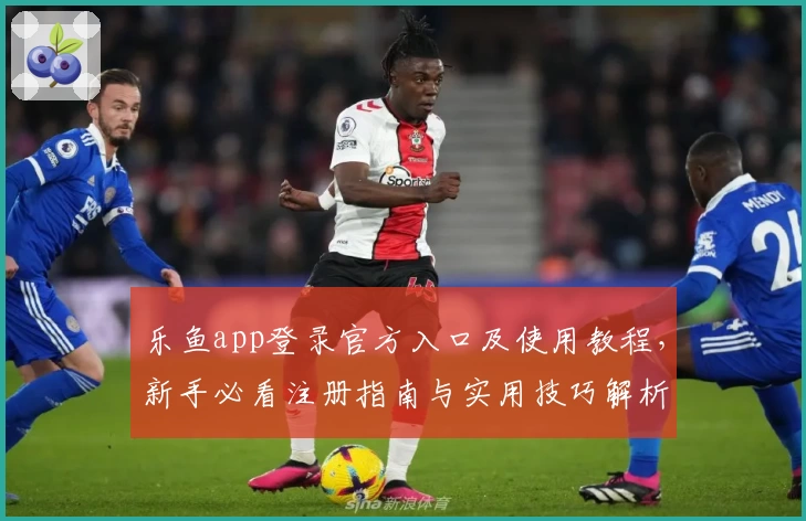 乐鱼app登录官方入口及使用教程，新手必看注册指南与实用技巧解析