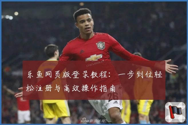 乐鱼网页版登录教程：一步到位轻松注册与高效操作指南