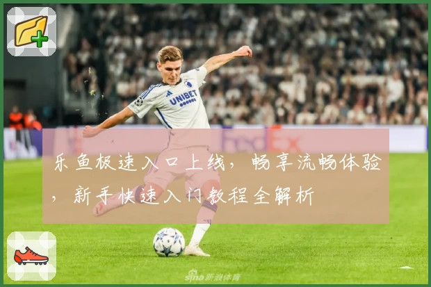 乐鱼极速入口上线，畅享流畅体验，新手快速入门教程全解析