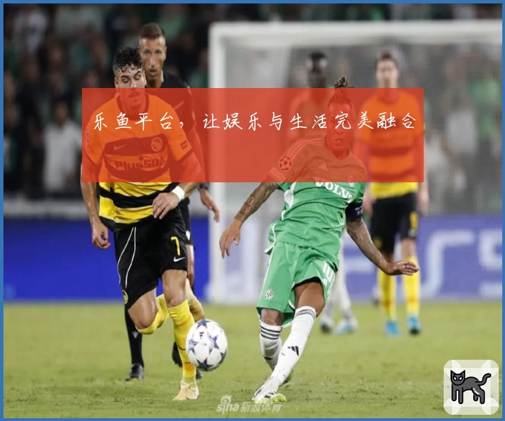 乐鱼平台，让娱乐与生活完美融合
