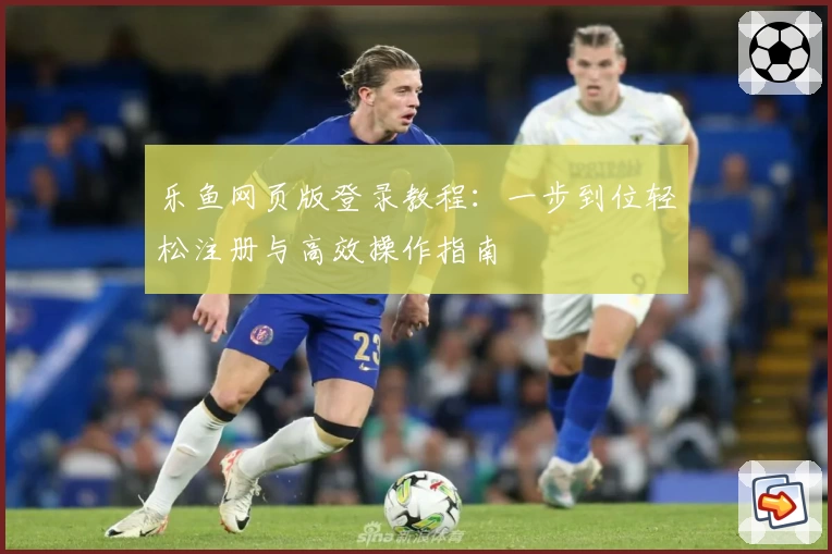 乐鱼网页版登录教程：一步到位轻松注册与高效操作指南