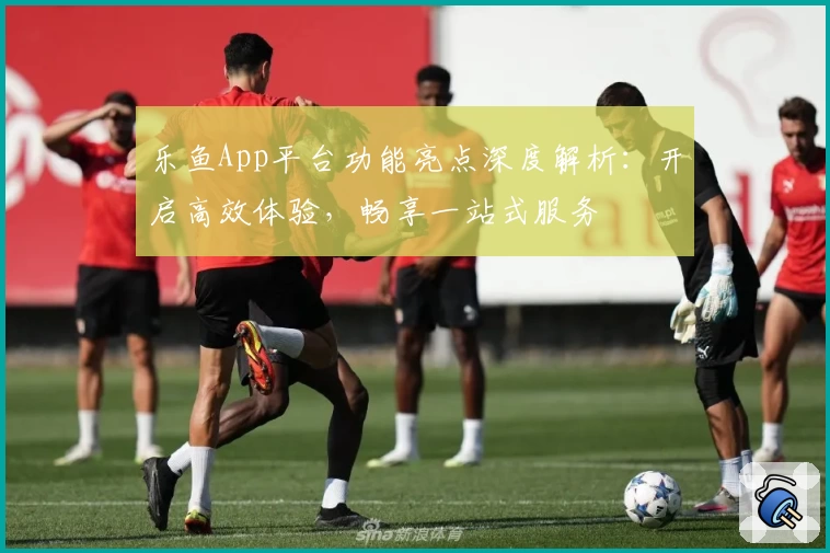 乐鱼App平台功能亮点深度解析：开启高效体验，畅享一站式服务