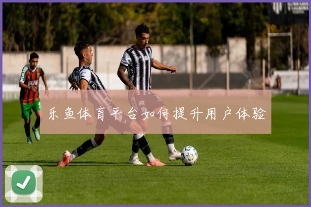 乐鱼体育平台如何提升用户体验