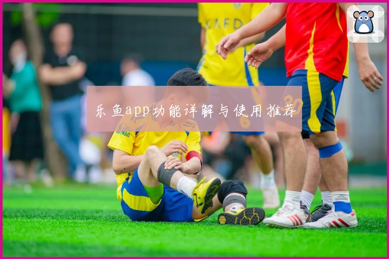 乐鱼app功能详解与使用推荐