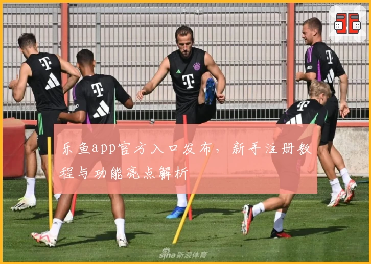 乐鱼app官方入口发布，新手注册教程与功能亮点解析